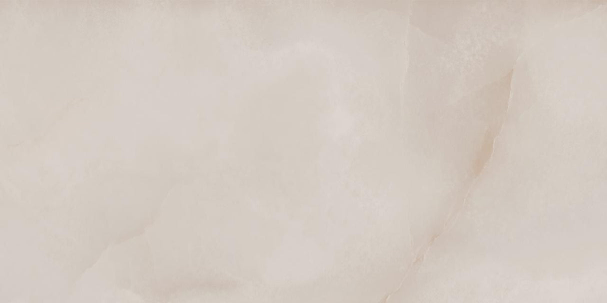 Porcelanato Eliane Sacara Gris Polido 60x120 1,44m2