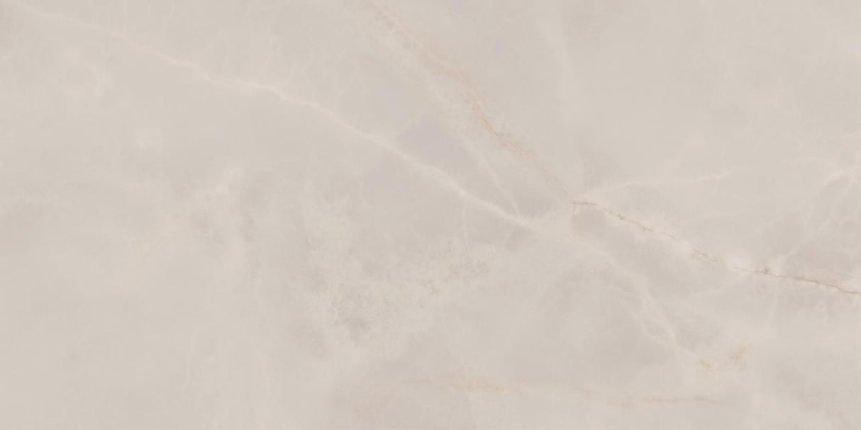 Porcelanato Eliane Sacara Gris Polido 60x120 1,44m2