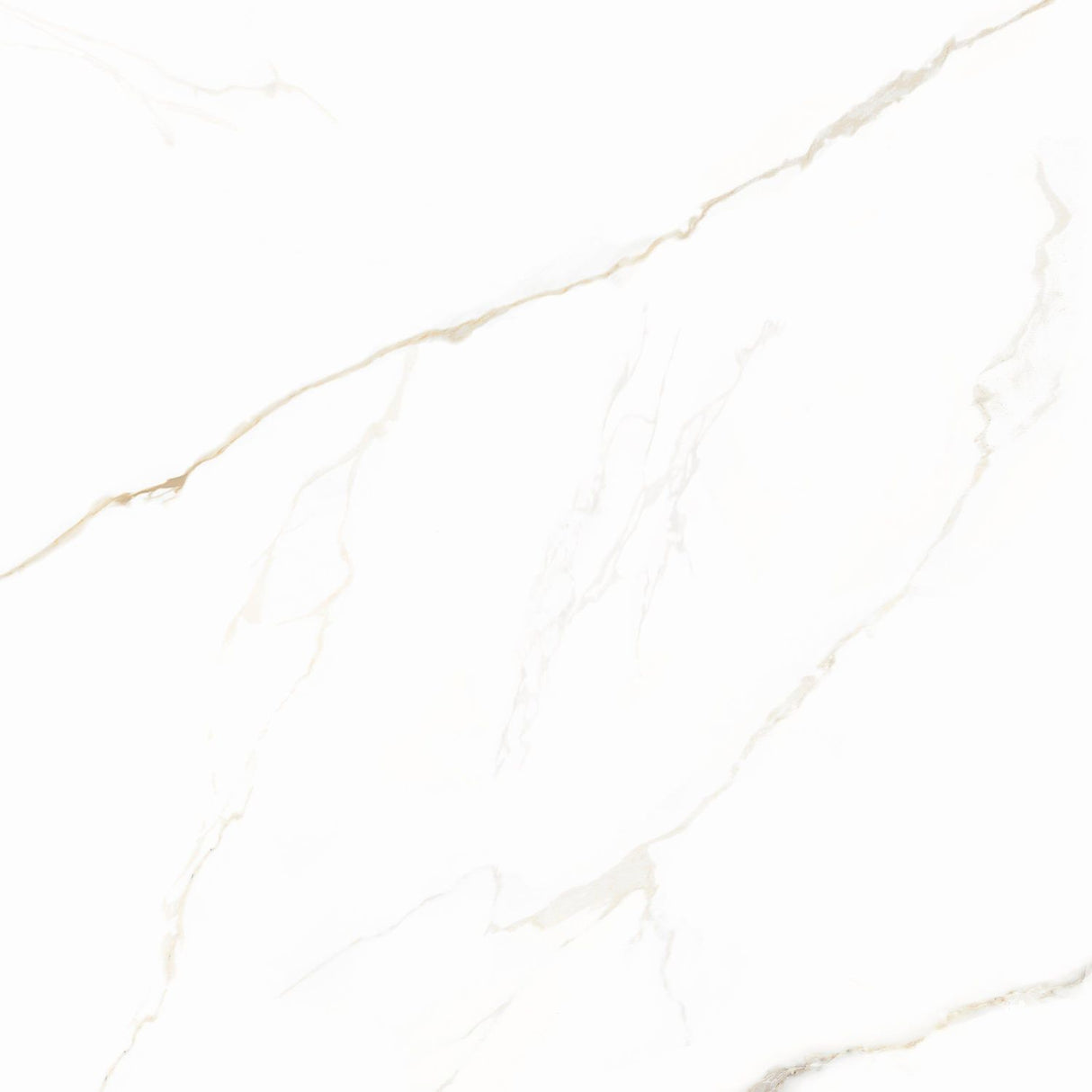 Piso Angelgres Calacata Gold Polido, Classe A, 72x72cm, 2,07m²