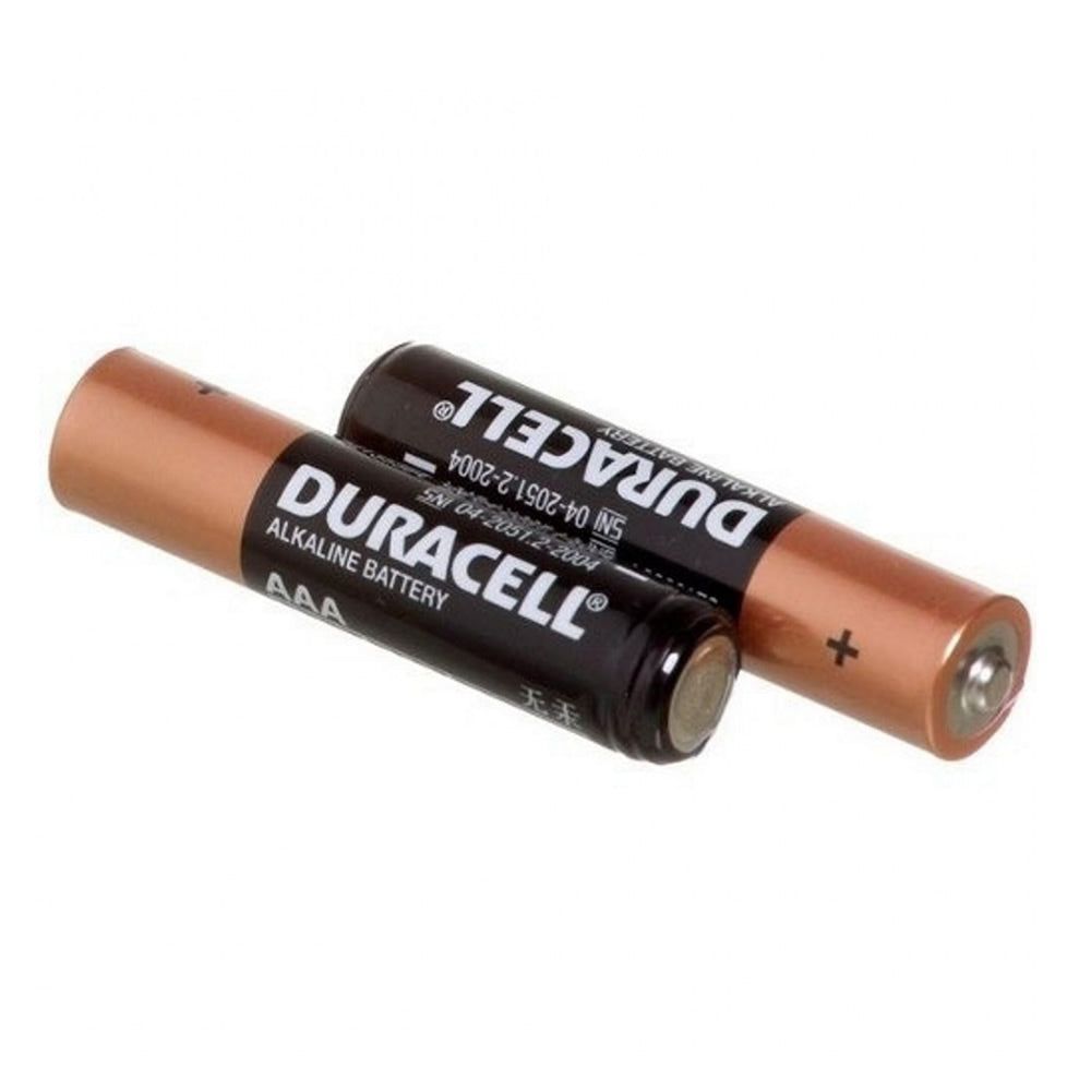 Pilha Alcalina Duracell AA Pequena, 2 Unidades