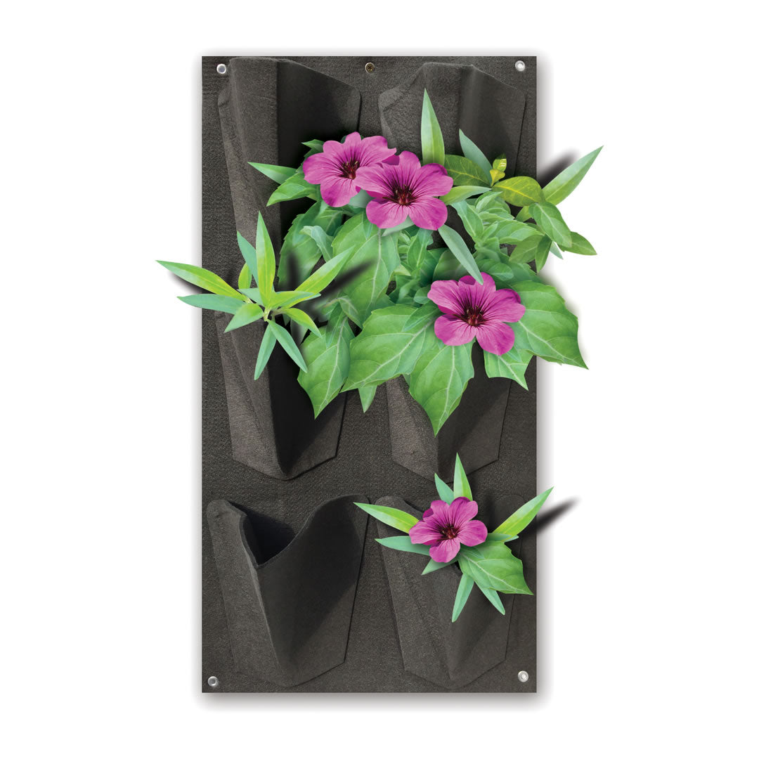 Painel Jardim Vertical 6 Nichos Tolfo 100x50x50cm