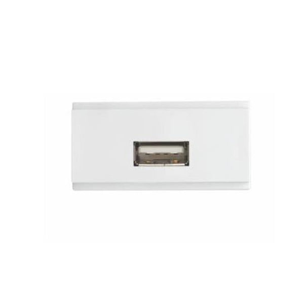 Carregador Módulo USB Brava Iriel