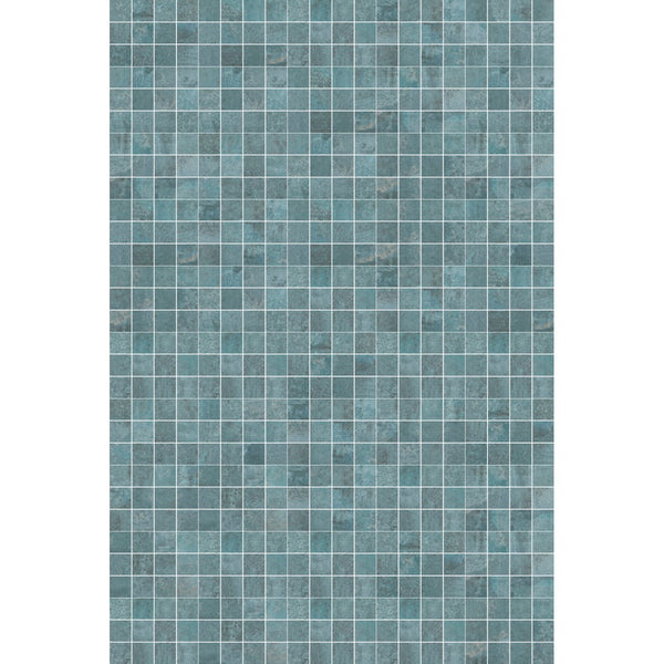 OXY BLUE MESH MA 10X10