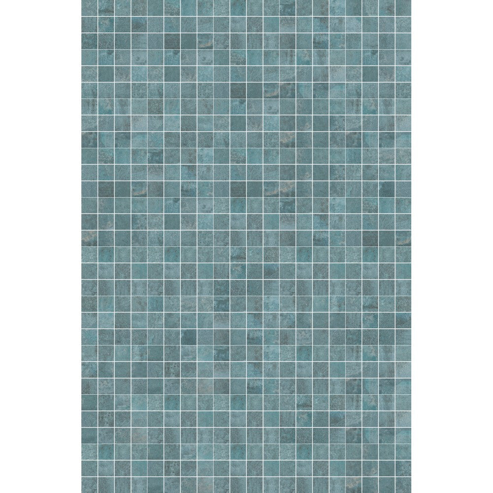 OXY BLUE MESH MA 10X10