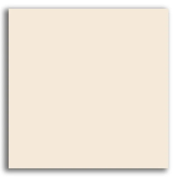 PORCELANATO UGL 60X60 PO 8MM BIANCO PLUS