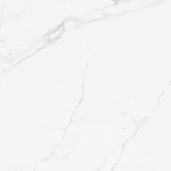 Porcelanato Marmorizado Place Ac Eliane 120x120 cm