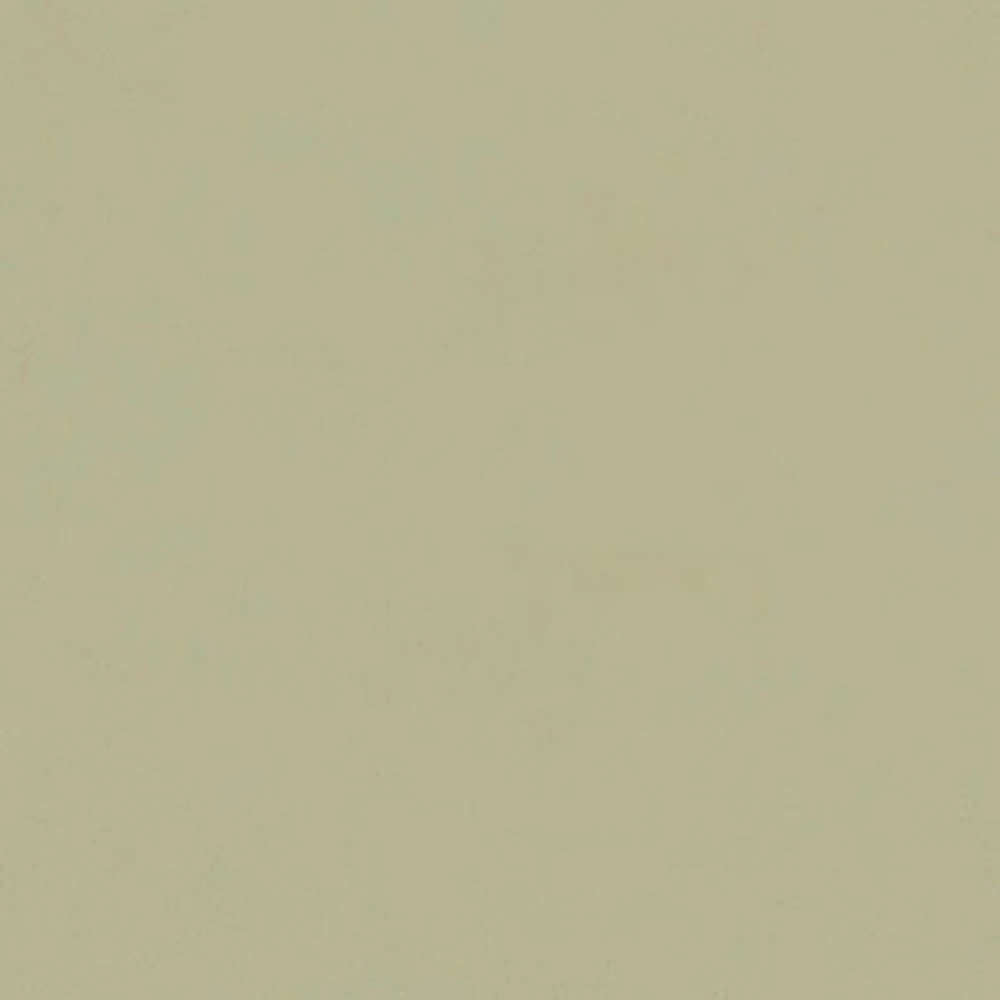 Porcelanato Delta Tecno Avorio Polido Retificado 80x80cm