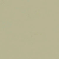 Porcelanato Delta Tecno Avorio Polido Retificado 80x80cm