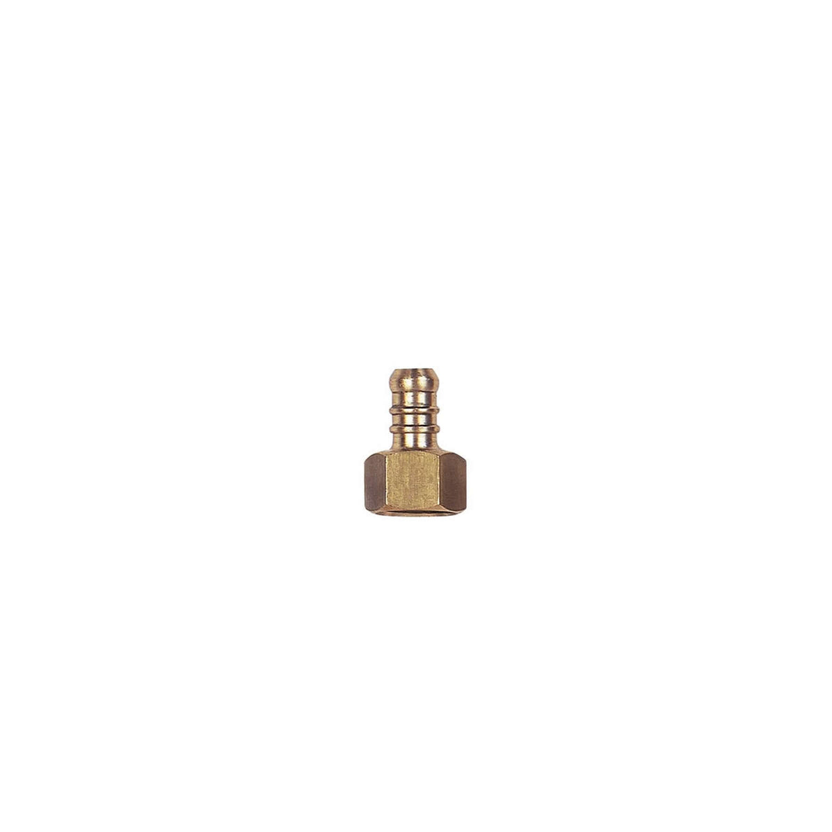 Terminal Para Mangueira 12x38 Jackwal Inr755