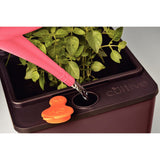 Vaso Autoirrigável Triplo Café Tramontina