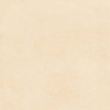 Piso Cejatel Portland Beige 53x53 cm 2,81 m²