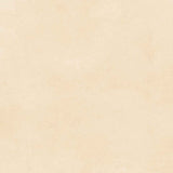Piso Cejatel Portland Beige 53x53 cm 2,81 m²