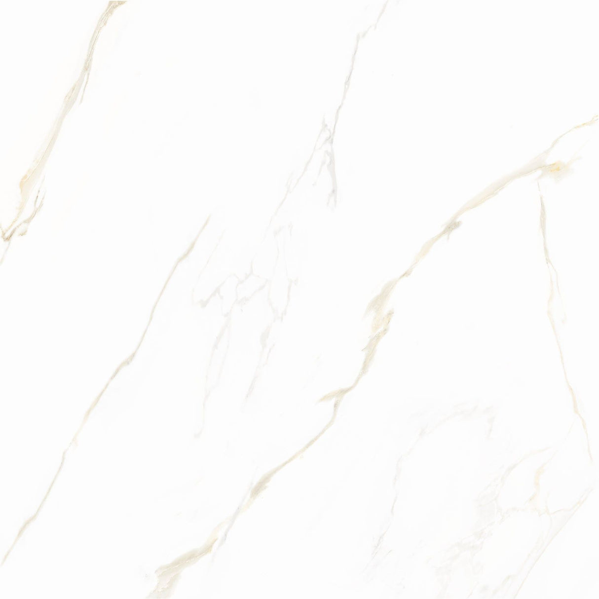 Piso Angelgres Calacata Gold Polido, Classe A, 72x72cm, 2,07m²