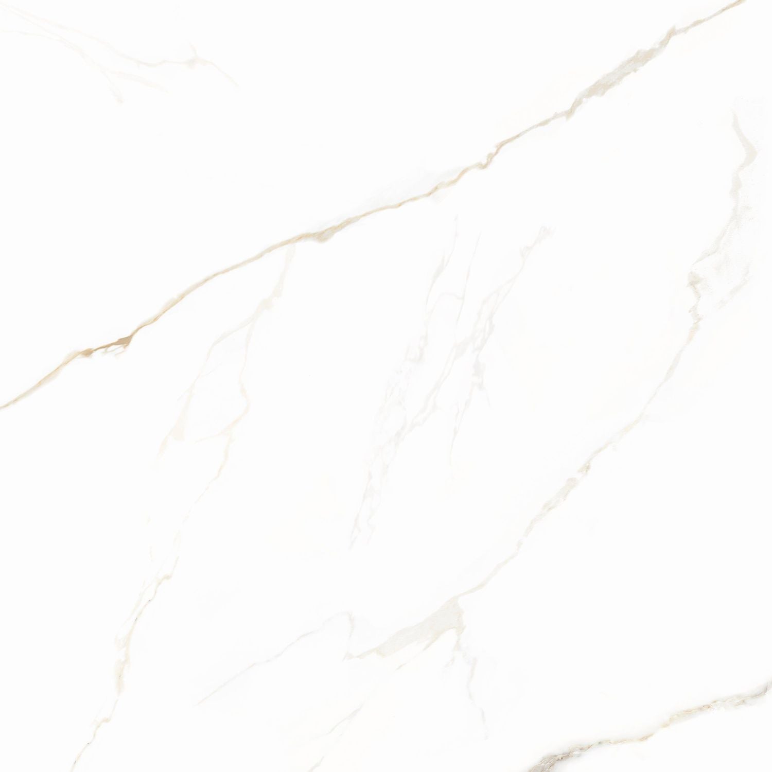Piso Angelgres Calacata Gold Polido, Classe A, 72x72cm, 2,07m²