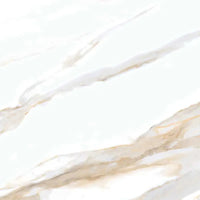Piso Cerâmico Calacata Lux Cejatel 53x53cm 2,81m2 San Marcos