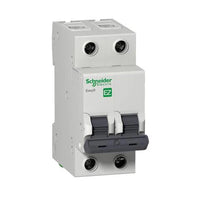 Disjuntor Bifásico Schneider Easy9 25A Curva B 3kA
