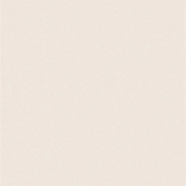 Piso Cerâmico Angelgres Shine Plus 60x60cm 2,52m2 Pei4