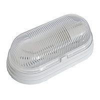Mini Tartaruga Marina sem Grade Branco Dital