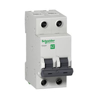 Disjuntor Termomagnético Bifásico Schneider Easy9 40a 3ka