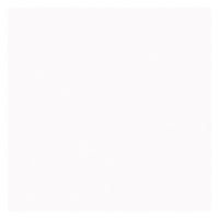 Piso Cerâmico Salinas Plus Pisoforte 51x51cm 2,33m2