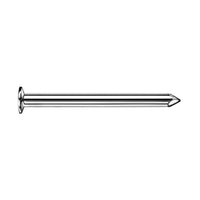 Prego De Aco Galvanizado 17x21 30x50mm Sforplast 10 Pecas