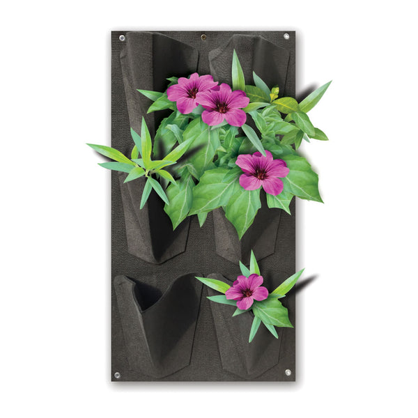 Painel Jardim Vertical 6 Nichos Tolfo 100x50x50cm
