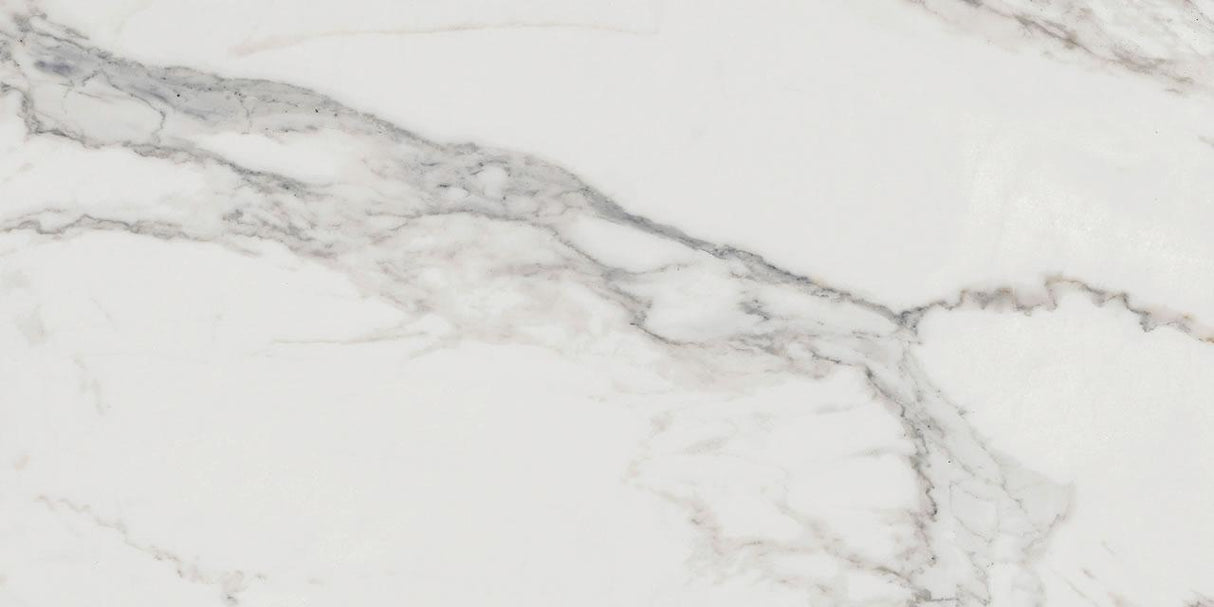 PORCELANATO ELIZAB. 49X99 C ALPINO ESM POLIDO 1,94M2