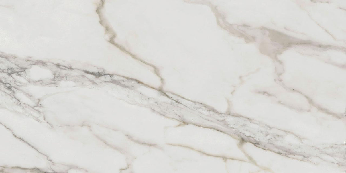 PORCELANATO ELIZAB. 49X99 C ALPINO ESM POLIDO 1,94M2