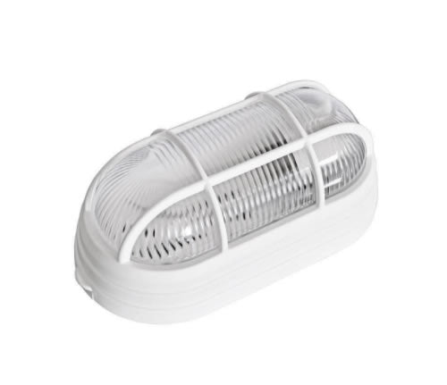 DITAL MINI TARTARUGA MARINA C/ GRADE BR