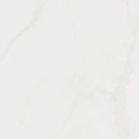 CASSINI BRUT AC 100X100