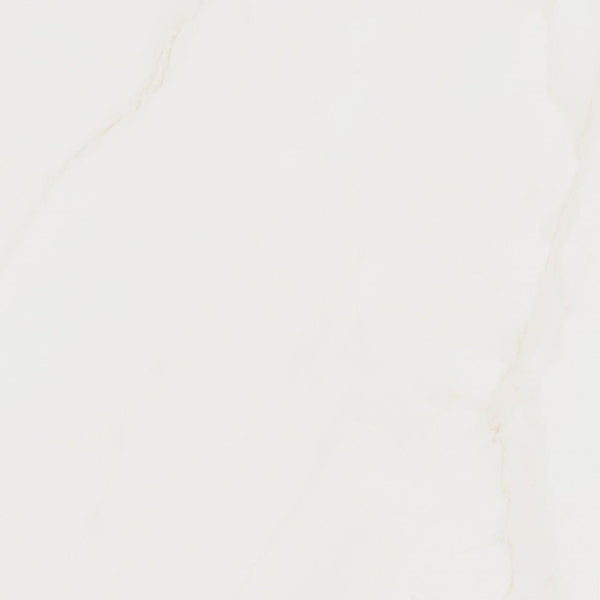 CASSINI BRUT AC 100X100