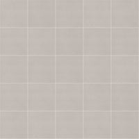 FGMF SILICA GRIS EXT 120X120R