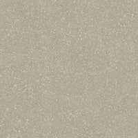 GRANULATO VIGA NA 60X60R