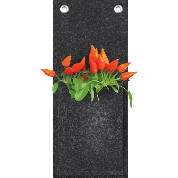 Horta vertical 1 nicho