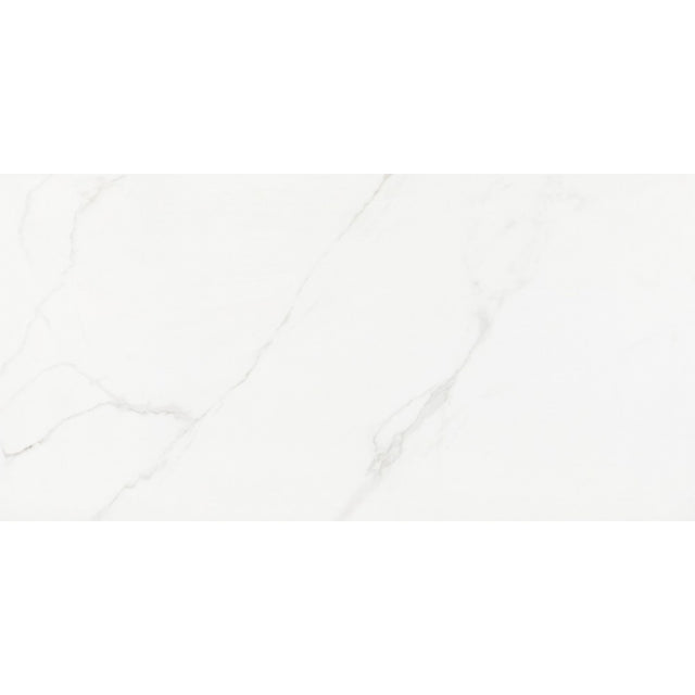 MONT BLANC PO 60X120R