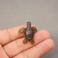 Mini tartaruga marina s
