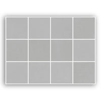 NEUTRAL GRAFITE MESH BR 10X10