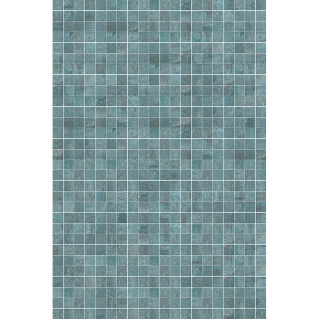 OXY BLUE MESH MA 10X10
