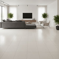 PORCELANATO ELIANE 60X60 BIANCO PLUS NA