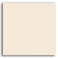 PORCELANATO UGL 60X60 PO 8MM BIANCO PLUS