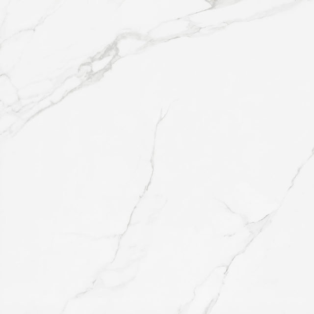 Porcelanato Marmorizado Place Ac Eliane 120x120 cm