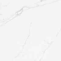 Porcelanato Marmorizado Place Ac Eliane 120x120 cm