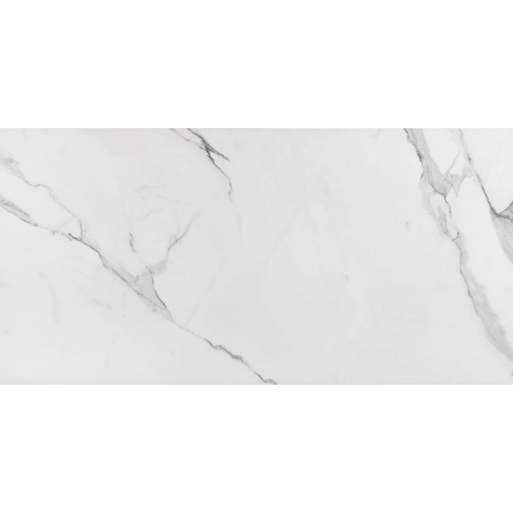 Porcelanato Retificado Place Acetinado 60x120cm Eliane