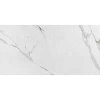 Porcelanato Retificado Place Acetinado 60x120cm Eliane