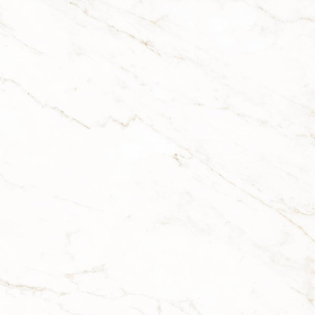 TIBRE BRUT AC 120X120R