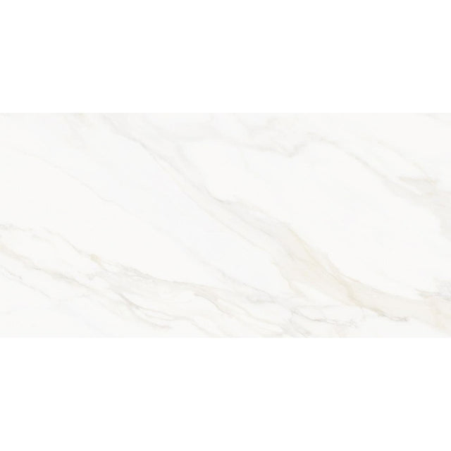VENUS ALPE PO 60X120