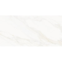 VENUS ALPE PO 60X120