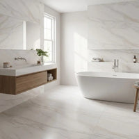 VENUS ALPE PO 60X120