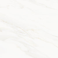 VENUS ALPE PO 60X60 RET