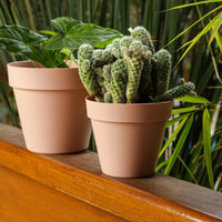 Vaso Unique Rosa N12 33,5cm
